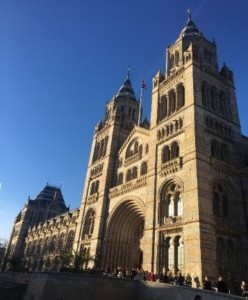 Londo 073020 - 10